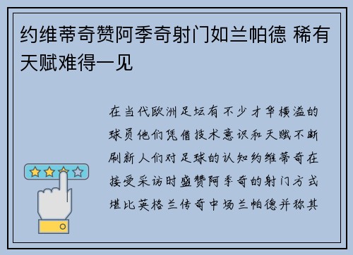 约维蒂奇赞阿季奇射门如兰帕德 稀有天赋难得一见